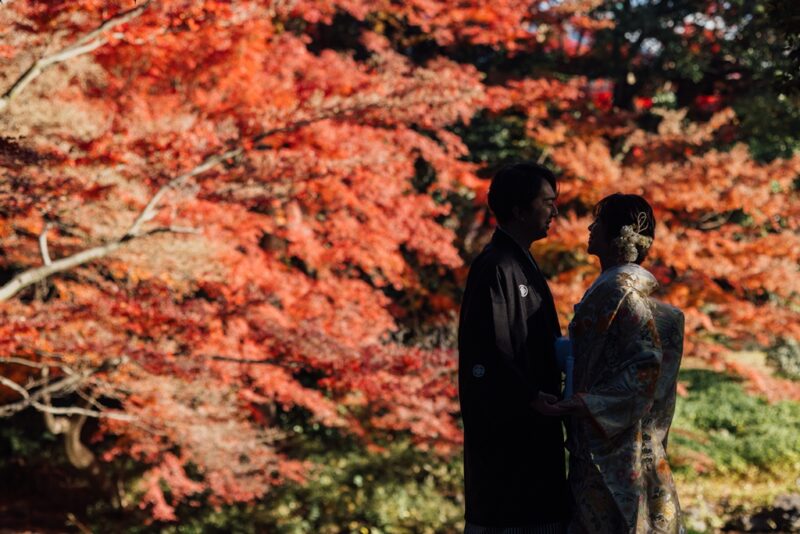 小石川後楽園の真っ赤な紅葉を背に、手を取り合って見つめ合う紋付袴の新郎と色打掛の花嫁。秋の和装前撮り