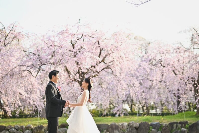満開の枝垂れ桜を背景に手を繋ぐ新郎新婦 石垣沿いの一枚