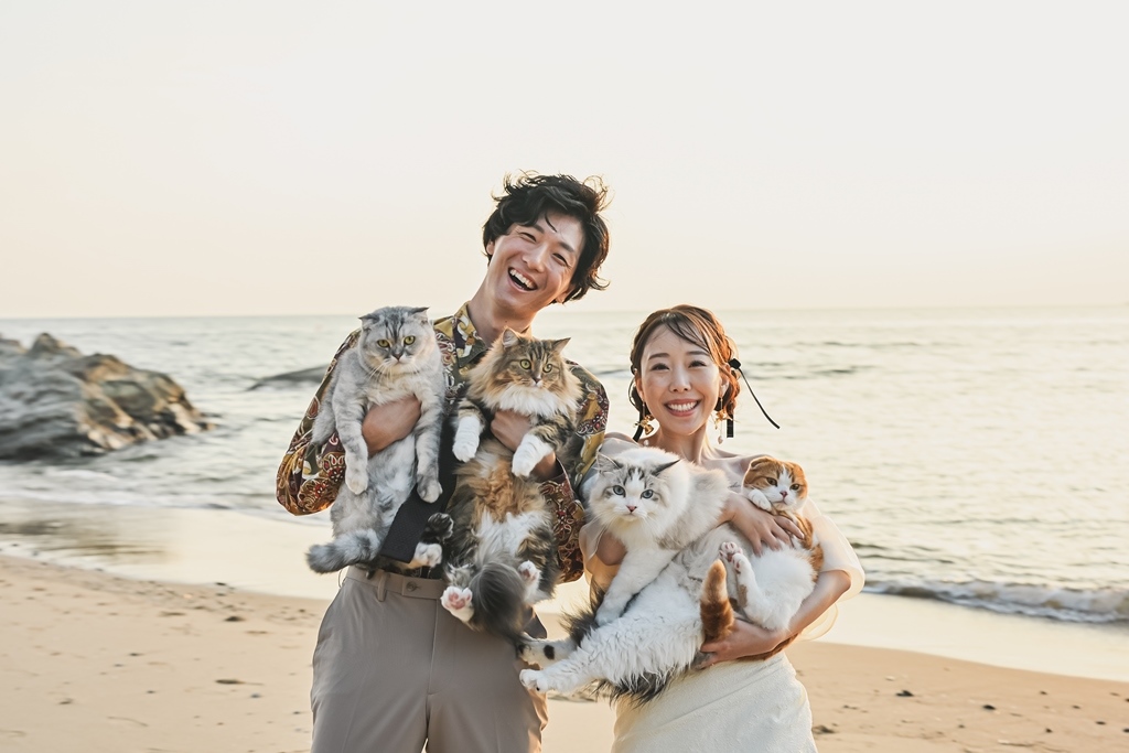 4匹の猫と一緒に撮った結婚写真