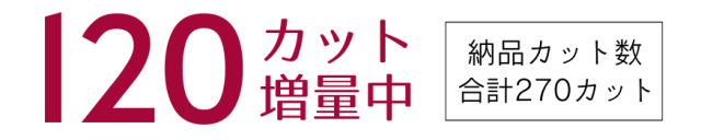 データカット数増量キャンペーン