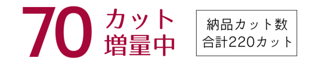 データカット数増量キャンペーン