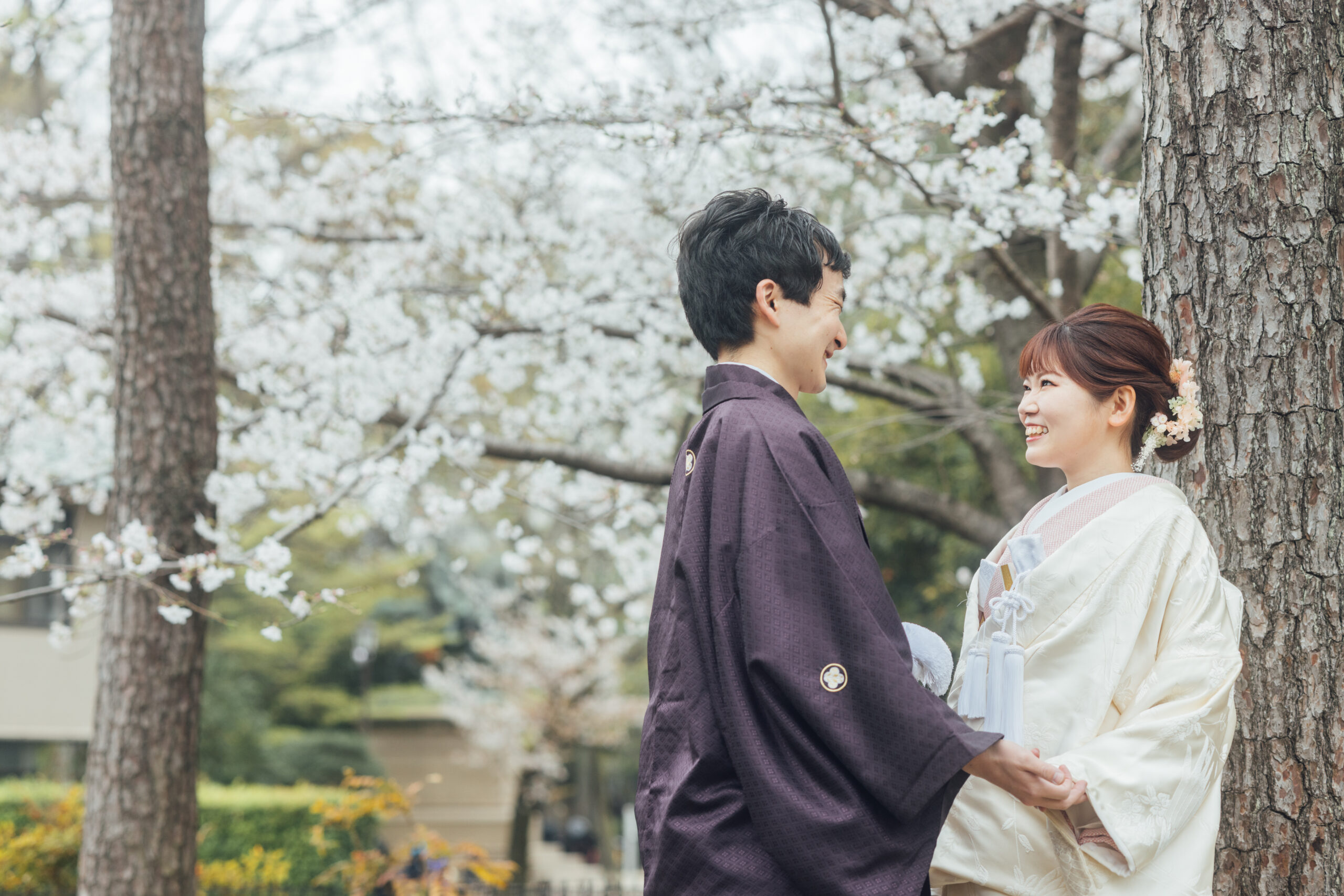 有栖川宮記念公園の桜シーズンでの和装前撮り実例、満開の桜の下で和装姿のカップルが美しく輝く春の一枚