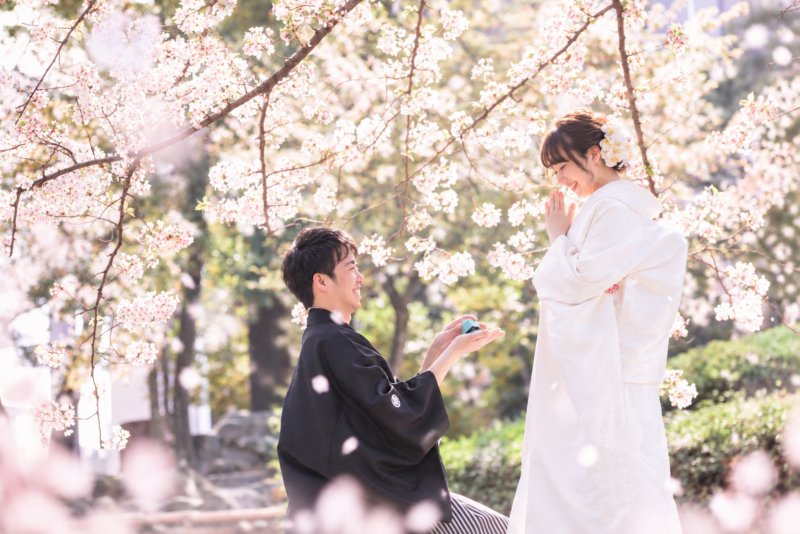 満開の桜の下でひざまずき指輪を差し出す紋付袴の新郎と、手を合わせて喜ぶ白無垢の花嫁。桜の和装前撮り